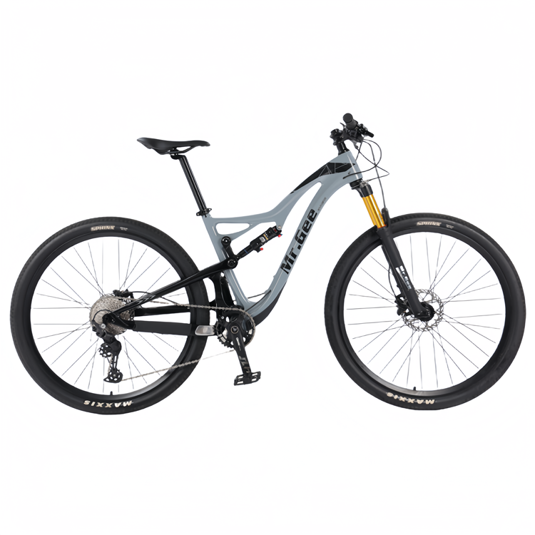 Carbon Fiber Bike 29 Inch Chin - Philippines Cycling Gear บทวิจารณ์และราคา